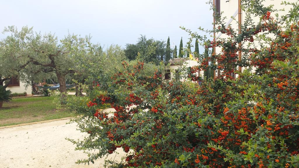 Agrisicilia Guest House Marinella di Selinunte Ngoại thất bức ảnh